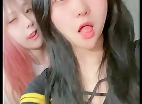 兩個漂亮的中國顯示貓